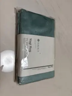 Item thumbnail for item e1f808ee-d357-4bd4-aa3c-30b6bf824d2d