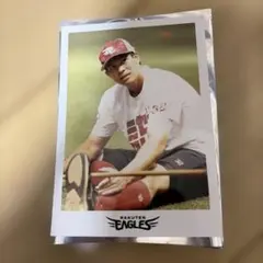 Item thumbnail for item 9f2cdd07-43d3-474f-9aef-871f7676f5f5