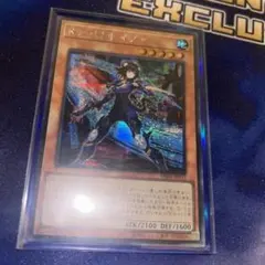 【メルカリ最安値】K9-17号イヅナ　アジアシク