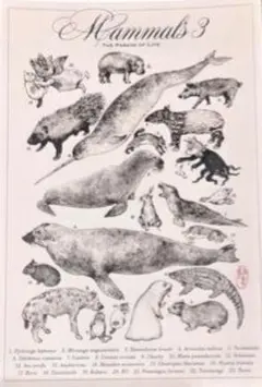 Item thumbnail for item 7d5c5e2f-0dfa-42a6-a766-756c775229dc