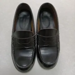 Item thumbnail for item 25b23d80-b26a-4147-a50a-3c2dfd13a326