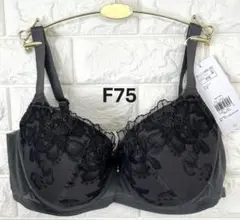 トリンプ　夏ブラ　COOL627　ブラジャー　ダークグレー　F75のサムネイル