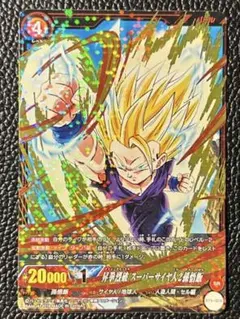 ドラゴンボール 悪鬼を討つ戦士 ゴジータ SR パラレル FB09-096 - メルカリ