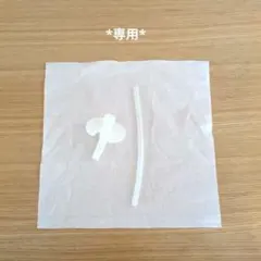 *専用*