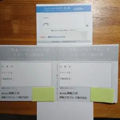 商船三井 フェリーサービス券 5,000円のサムネイル