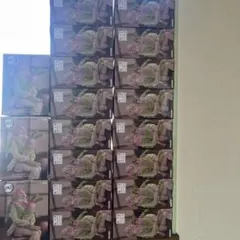 鬼滅の刃 ぬーどるストッパーフィギュア クラフトホリック 【甘露寺蜜璃】19体