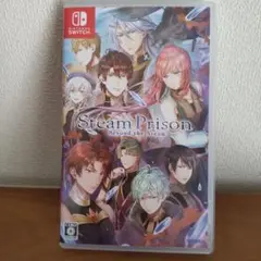 Switchソフト　 スチームプリズン ビヨンドザスチーム