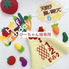 【31日発送】　ぴーちゃん様専用