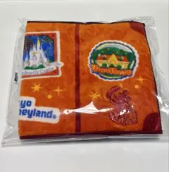 東京ディズニーリゾート バケーションパッケージ タオルハンカチセット