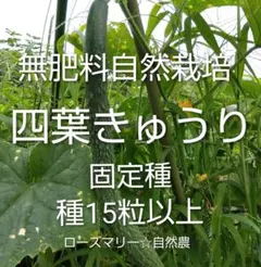 パンジー様 リクエスト 4点 まとめ商品