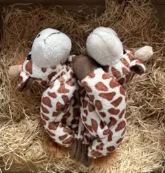 Item thumbnail for item 38aa8745-48b7-4f37-8b06-0c070ba9f5ca