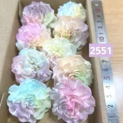 ソラフラワー　2551