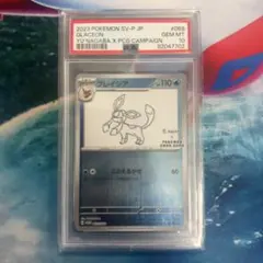 グレイシア P 「YU NAGABA × ポケモンカードゲーム」コラボレーショ