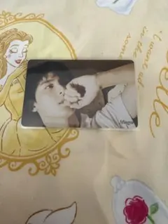 SEVENTEEN ミンギュ your choice hmv 特典 トレカ