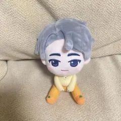 SEVENTEEN PetiTEEN 一番くじ ウォヌ ぬいぐるみ マスコット