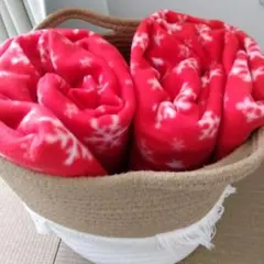 Item thumbnail for item 4243d383-dde9-4b8e-8ff9-21a4e0a26b3f