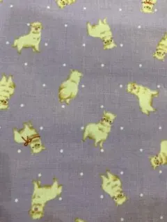 ちゃくろ様 リクエスト 3点 まとめ商品