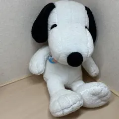 Item thumbnail for item d9b1f52f-81b1-406e-8914-b19a57e6856d