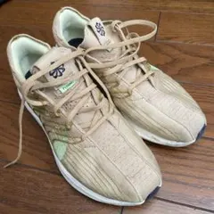 ナイキ ペガサス 27.5