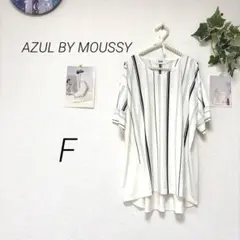 10057-1 アズールバイマウジー 半袖カットソー F ゆったり