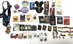 2026年最新】ピンバッジ ディズニー アトラクションの人気アイテム 