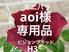 aoi様 リクエスト 2点 まとめ商品