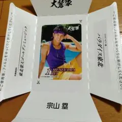 Item thumbnail for item 011e0846-aeab-4132-8edc-969f876657dd