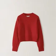 Tight V Knit / OHOTOROのサムネイル