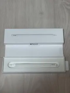 Apple Pencil (USB-C) 元箱付き ホワイト