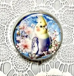 ハンドメイドピルケース小物入れ(春を呼ぶオカメインコ)