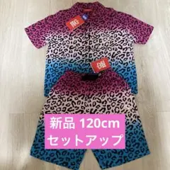 【新品】BABYDOLL レオパード柄 シャツ&ショートパンツ セット