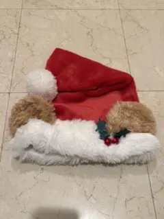 Duffy ダッフィー サンタ帽子