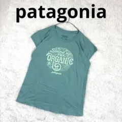 パタゴニア Tシャツ XL グリーン オーガニックコットン 半袖 プリント