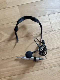 Item thumbnail for item 047bf95c-3887-426e-bccf-3ae360ef34cd