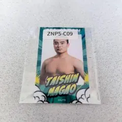 【匿名配送】全日本プロレス 長尾一大心選手☆ウェブポンＣ賞 チェキ風ステッカー