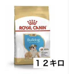 Canin フレンチブルドッグ ドライフード　９キロ Royal Canin フレンチブルドッグ ドライフード 9キロ - メルカリ