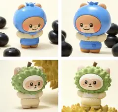 【新品未開封】ZB1 ゼベワン zeroni フルーツ ゼロ二 ビニニ ハニニ