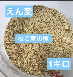 Item thumbnail for item a2fe3bac-771d-4a30-a0d3-3dd323e3f3c5