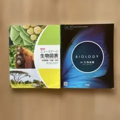 Item thumbnail for item 6a890e84-8d18-4390-b553-51ea960f3788