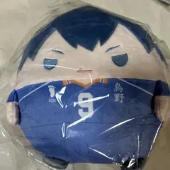 N*N様 ハイキュー　ふわころぬいくじ　C賞 影山飛雄