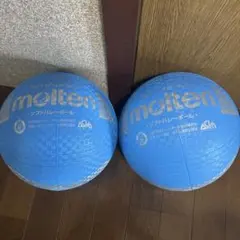 ソフトバレーボール