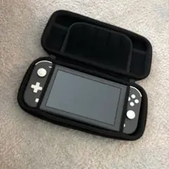Nintendo Switch Lite 本体 グレー　充電器付きスイッチライト