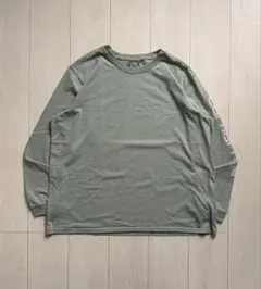 Carhartt 袖ロゴ ロンTのサムネイル