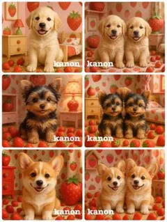 P422 パネル生地　コーギー　18×18 6枚1セット