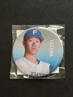 日本ハムファイターズ 矢澤宏太 缶バッジのサムネイル