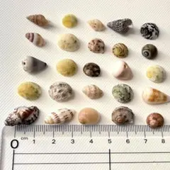 トム様 リクエスト 3点 まとめ商品