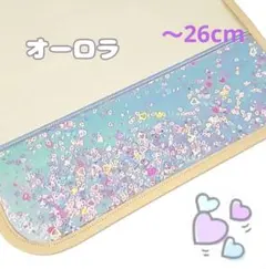 Item thumbnail for item 4b9d578e-04ee-4821-b04e-0b389f041617