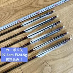 弓道 カーボン矢 97.5cm 約24.5g 送料込み！104 - メルカリ