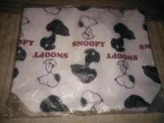 Item thumbnail for item 16fb9669-52f0-46fd-b218-d57e36ce6e97