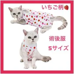 Item thumbnail for item 4ba690d6-e3a3-43a8-adb4-0c7178ea75da